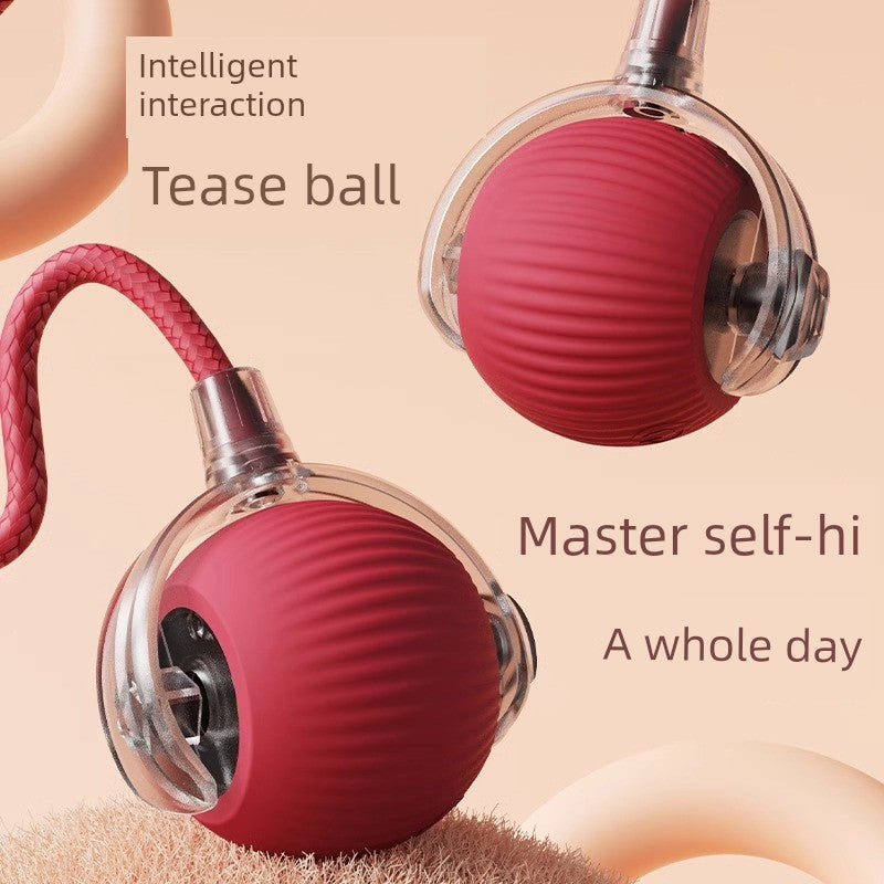 Pet Toys