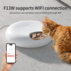 Petwant Automatic Pet Feeder Wifi Smart Control Cat Food Dispenser 6 Meals Tuya APP Remote Feeding Anti-jamming Timed For cats